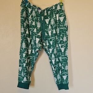 NWOT Flannel Maternity Pants